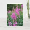 Suche nach sunday postkarten Mutter