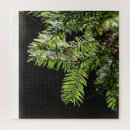Suche nach tannenbäume puzzle Jede person