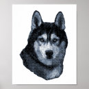 Suche nach alaskan malamute poster Bösartig
