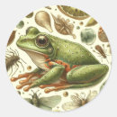 Suche nach vintage frösche aufkleber Frosch