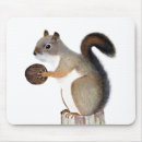 Suche nach walnuss mousepads Eichhörnchen