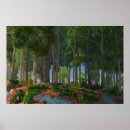 Suche nach rochen poster Wald