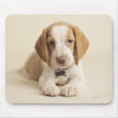 Suche nach welpen mousepads Tierthemen