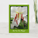 Suche nach orientale karten Blume