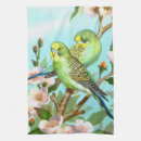 Suche nach budgerigars Haustier
