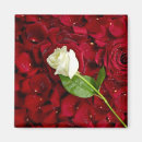 Suche nach florist magnete Elegant