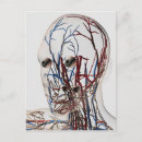 Suche nach kopfschmerzen postkarten Komplexität