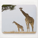 Suche nach giraffen mousepads Tiere