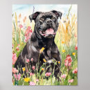 Suche nach cane corso poster Korsett
