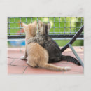 Suche nach balkone postkarten Fotografie