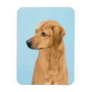 Suche nach rhodesian ridgeback magnete Hund