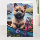 Suche nach cairns karten Jede person