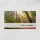 Suche nach morgen visitenkarten Wald