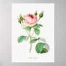 Suche nach botanische illustration poster Vintag