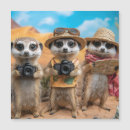 Suche nach der tourist karten Spaß