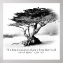 Suche nach weißer baum poster Fotografie