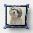 Suche nach shih tzu kissen Foto