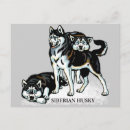 Suche nach sibirischer husky postkarten Darstellung