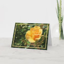 Suche nach yellow rose karten Paar