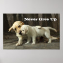 Suche nach labrador retriever poster Haustier