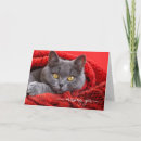 Suche nach rote katze karten Jede person