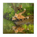 Suche nach minnesota fliesen Niemand