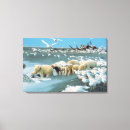 Suche nach eisbären leinwandbilder Ozean