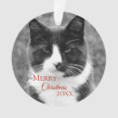 Suche nach schwarzweiss katze ornamente Miezekatze