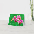 Suche nach lila orchidee karten Für alle