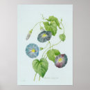 Suche nach winde poster Farbe