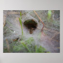 Suche nach netz poster Web