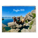 Suche nach puggles Jede person