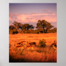 Suche nach die beschaffenheit poster Natur
