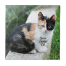 Suche nach katz fliesen Für katzenliebhaber