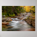 Suche nach birke poster Blatt