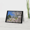 Suche nach kirschbaum karten Bäume