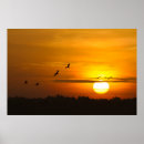 Suche nach kran poster Natur