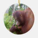 Suche nach orang utans ornamente Affe