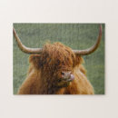 Suche nach cow puzzle Kuh