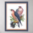 Suche nach 1860 poster Vintage