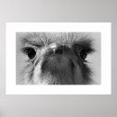 Suche nach analoge poster Fotografie