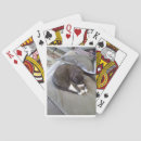 Suche nach siren spielkarten Für alle