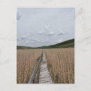 Suche nach schilf postkarten Landschaft