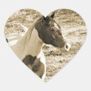 Suche nach pony aufkleber Jede person