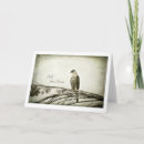 Suche nach falken karten Natur