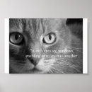 Suche nach katzenaugen poster Miezekatze