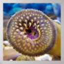 Suche nach aal poster Jede person