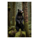Suche nach schwarzer bär poster Tierwelt