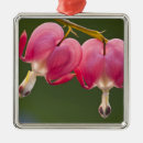 Suche nach nahe ornamente Blume