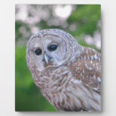 Suche nach tots fotoplatten Totem